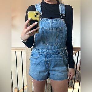 wild fable Blue Denim Short Overalls